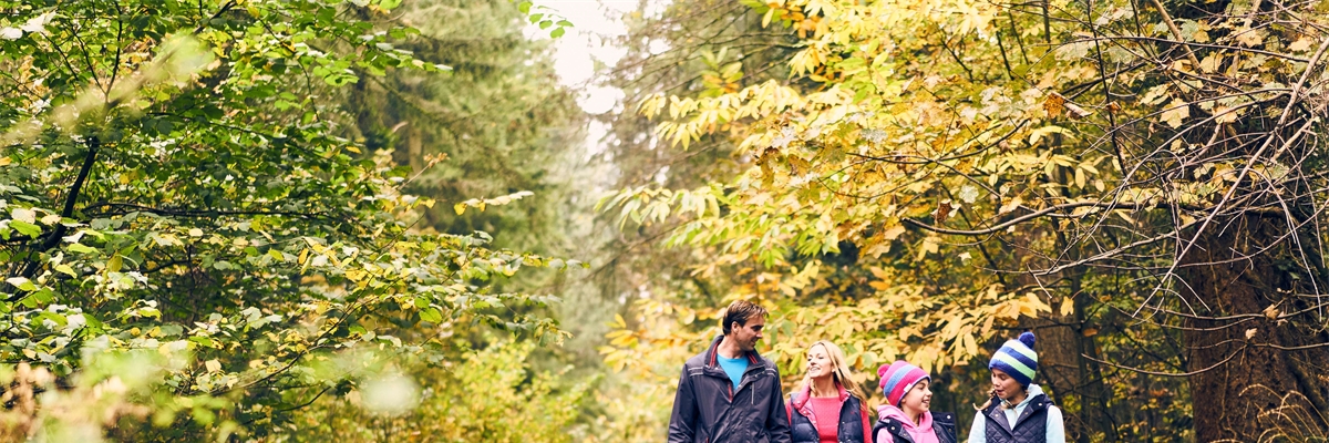 Image of Family Walking